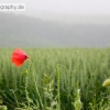 PC1_Bild092.jpg